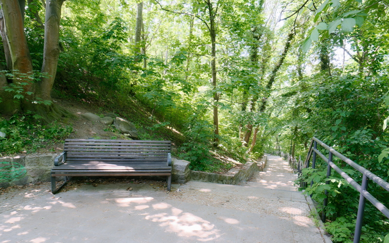 23 - A shaded park path featuring a wooden bench alongside a concrete staircase descending into a densely wooded area